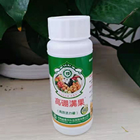 高硼滿果100ml×80瓶